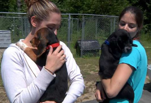 Shelter Volunteers with puppies.